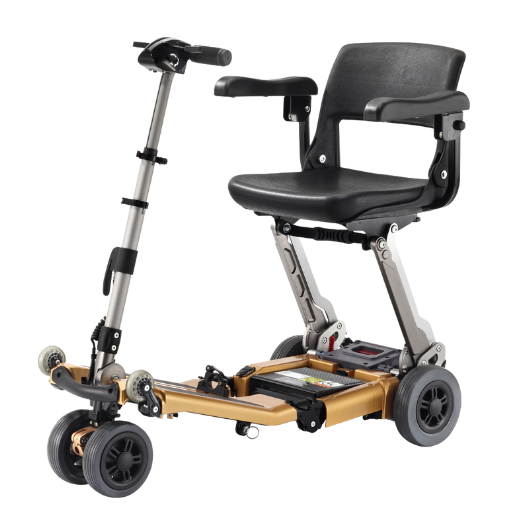 FreeRider USA Luggie Golden Elite